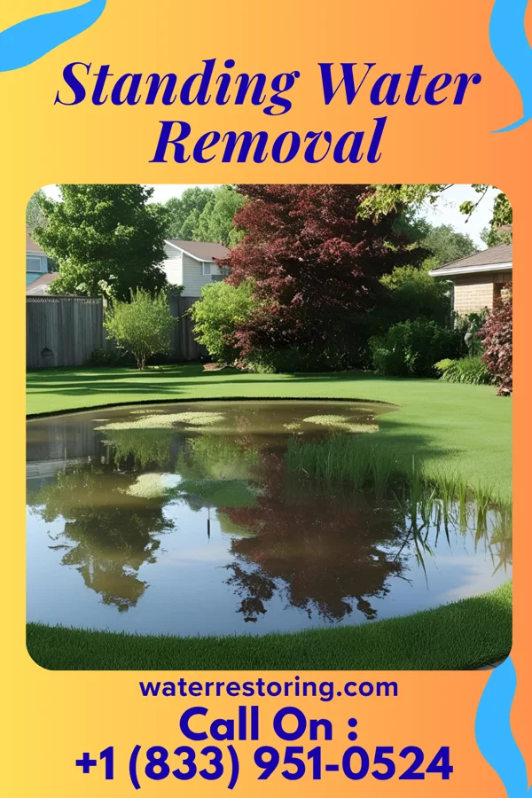 Standing Water Removal in Greeley, CO